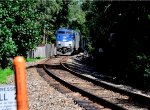 13 - Amtrak Silver Meteor